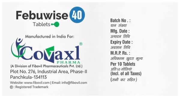Febuwise 40 Tablet thumbnail 2