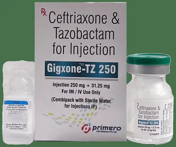 Gigxone-TZ 250 Injection