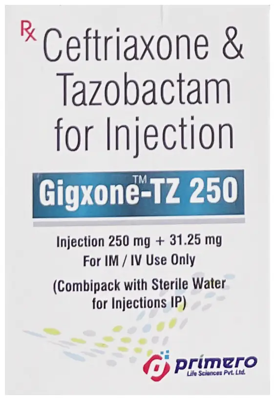 Gigxone-TZ 250 Injection thumbnail 3