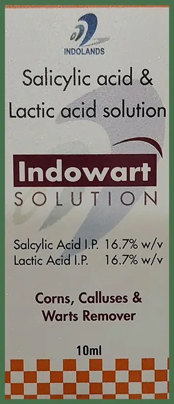 Indowart Solution