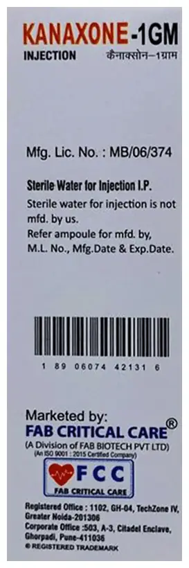 Kanaxone 1GM Injection
