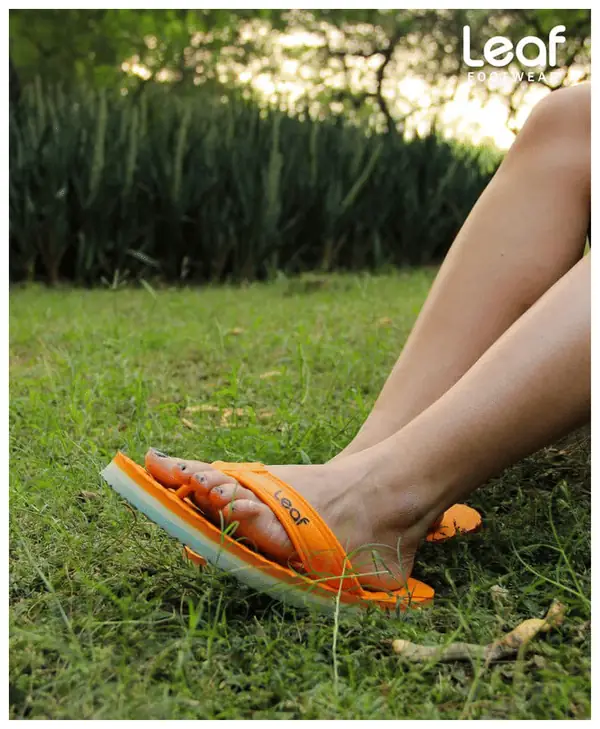 Lin PD 10mg/40mg Tablet