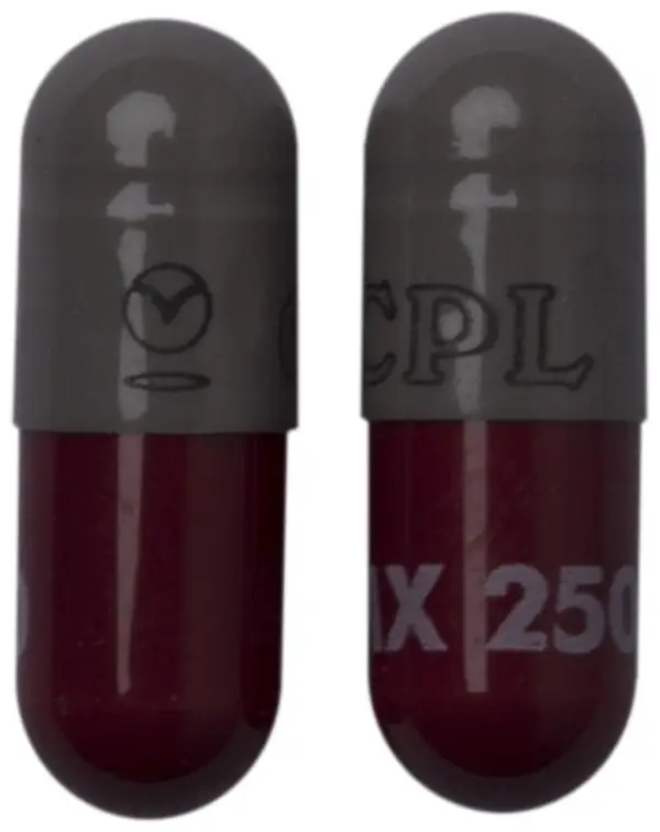 LMX 250 Capsule thumbnail 2