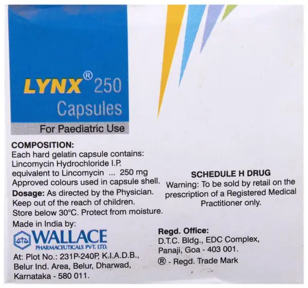 Lynx 250 Capsule