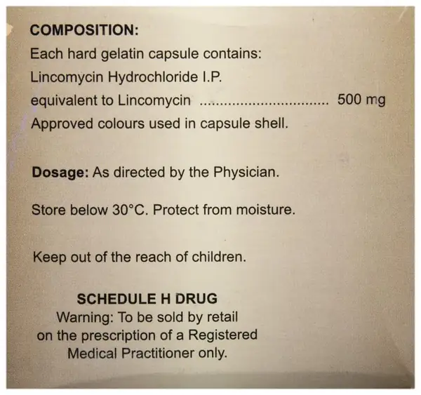 Lynx 500 Capsule