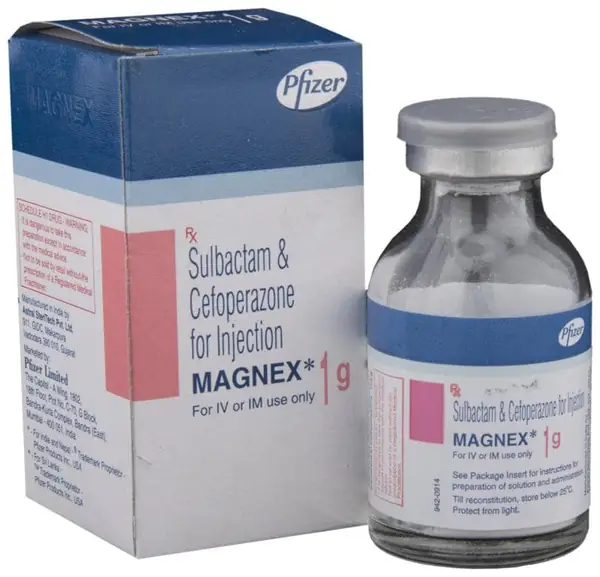 Magnex 1g Injection
