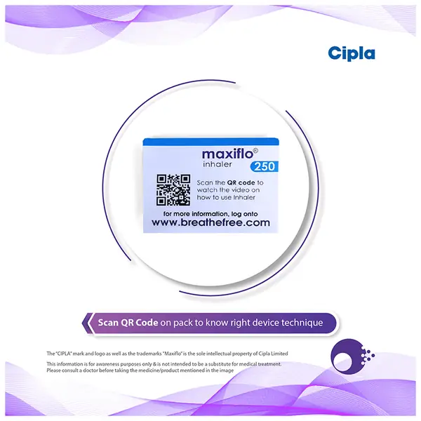 Maxiflo 250 Inhaler thumbnail 3