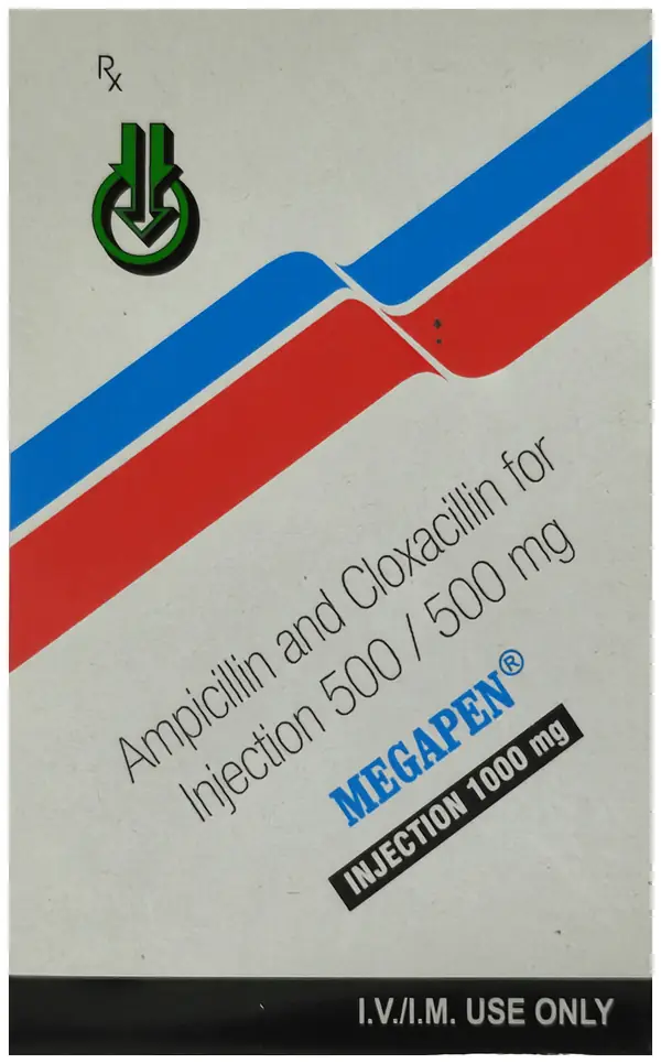 Megapen 1 gm Injection