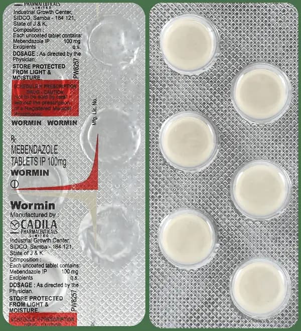 Wormin 100mg Tablet
