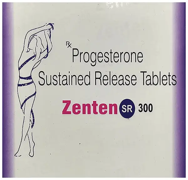 Zenten SR 300 Tablet thumbnail 2