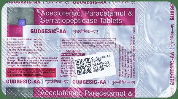 Gudgesic AA Tablet
