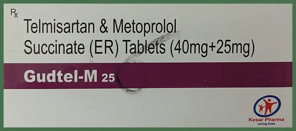 Gudtel-M 25 Tablet ER